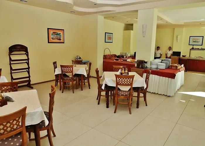 Aktinia サニービーチ